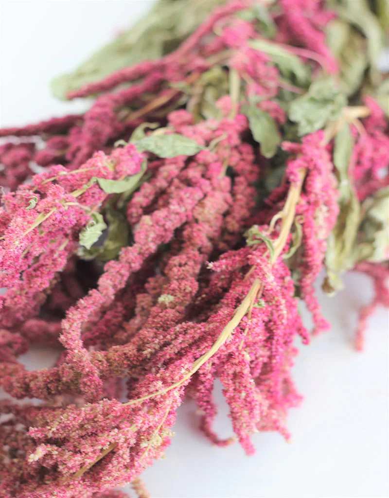 Dried trailing Amaranthus - Red Bunch, 150 grams, 70 cm - Image 3