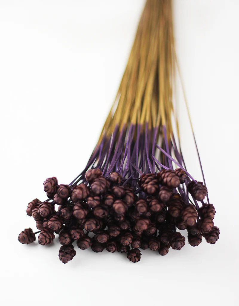 Dried Acacia Flowers Bunch- Dark Purple, 45 cm