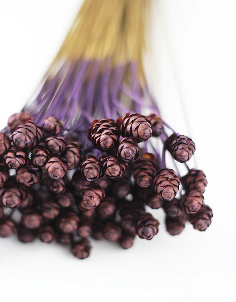 Dried Acacia Flowers Bunch- Dark Purple, 45 cm - Image 3