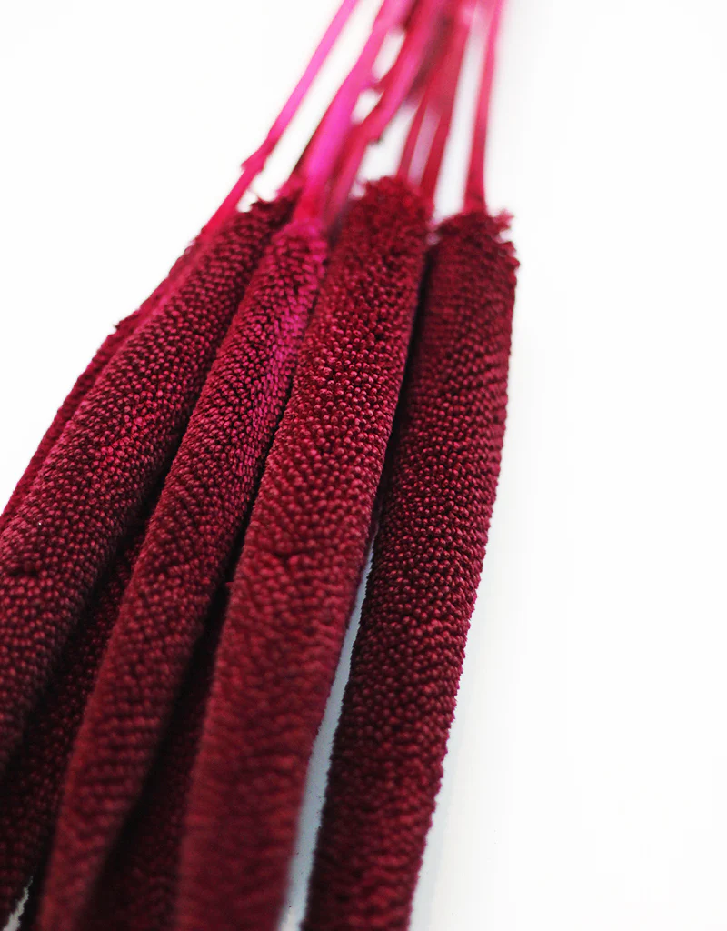 Dried Babala - Bordeaux/Magenta Flowers Bunch, 10 Stems, 65 cm - Image 2