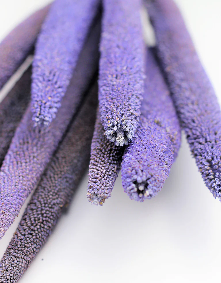 Dried Babala - Lilac Bunch, 10 stems, 70 cm - Image 2
