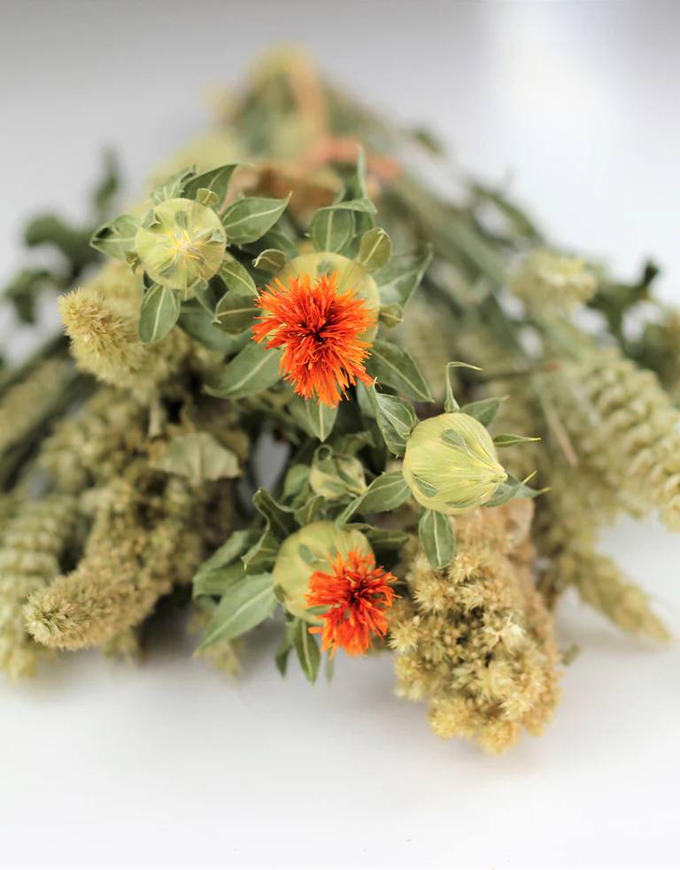Dried Bouquet - Carthamus Lou Lou, 50 cm