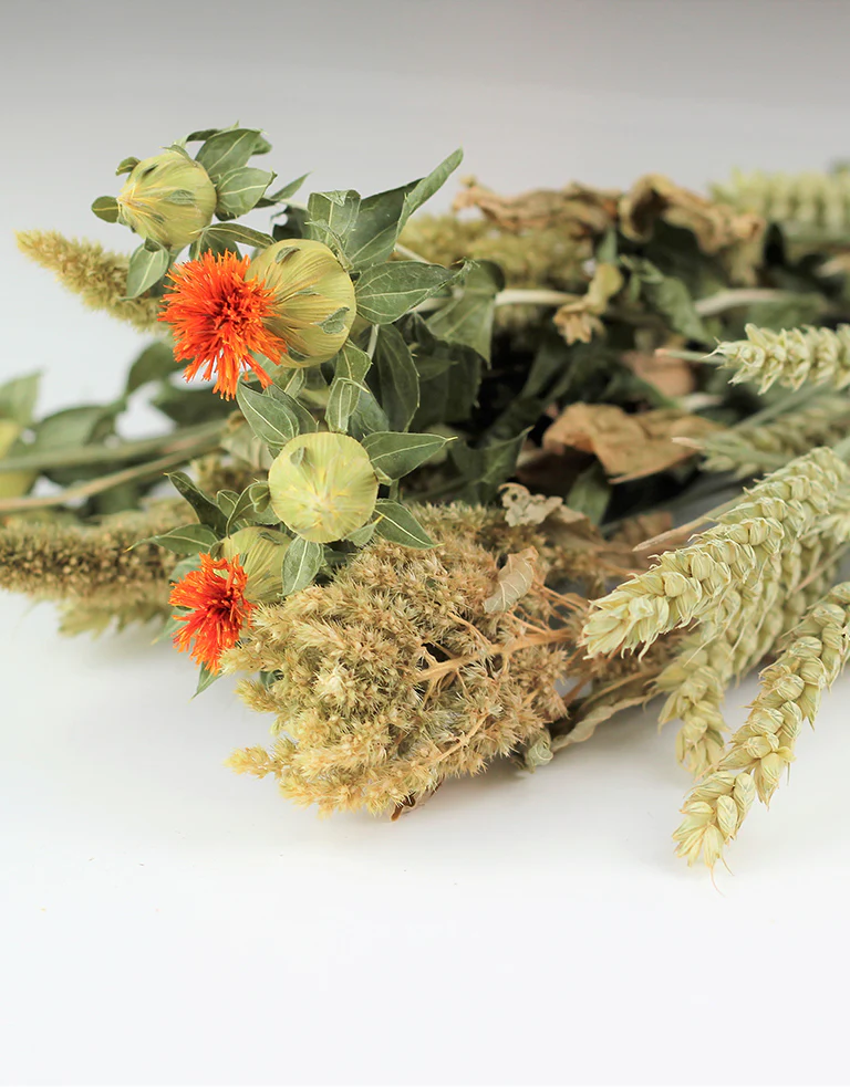 Dried Bouquet - Carthamus Lou Lou, 50 cm - Image 3