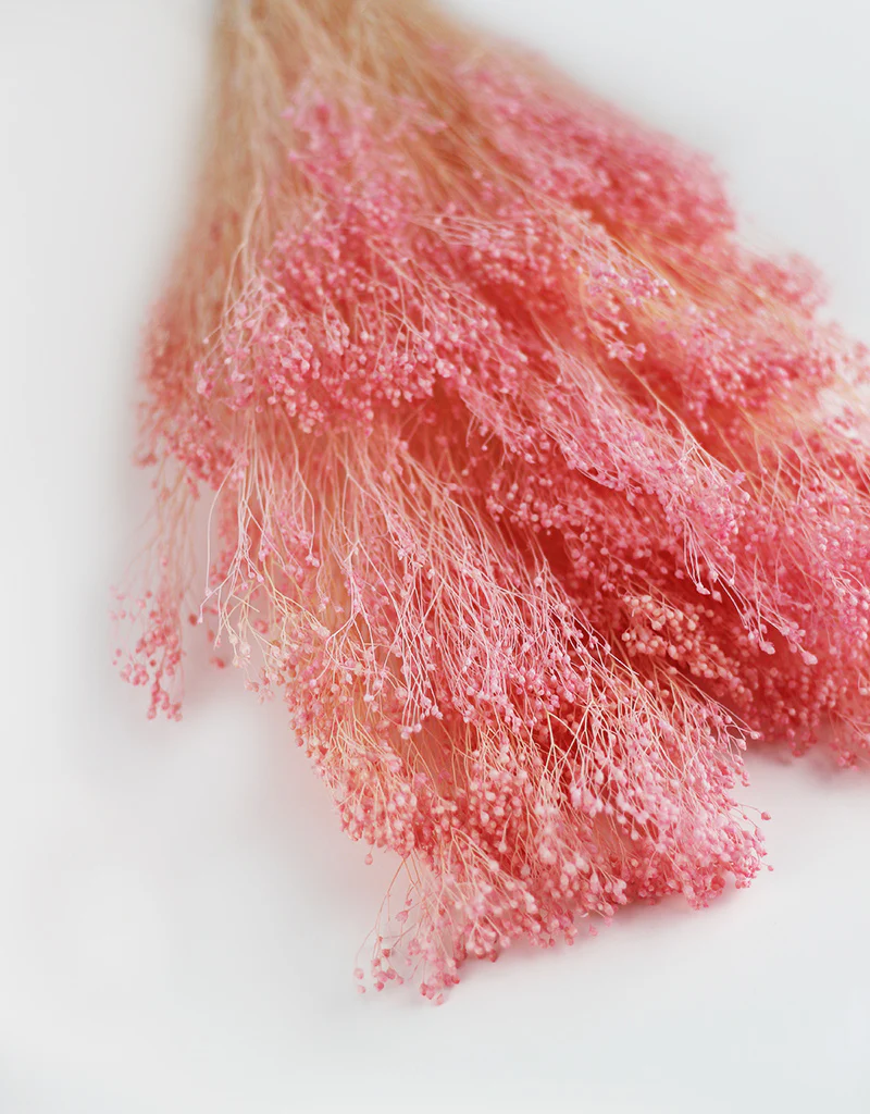 Dried Broom Bloom - Baby Pink Bunch, 55 cm - Image 2