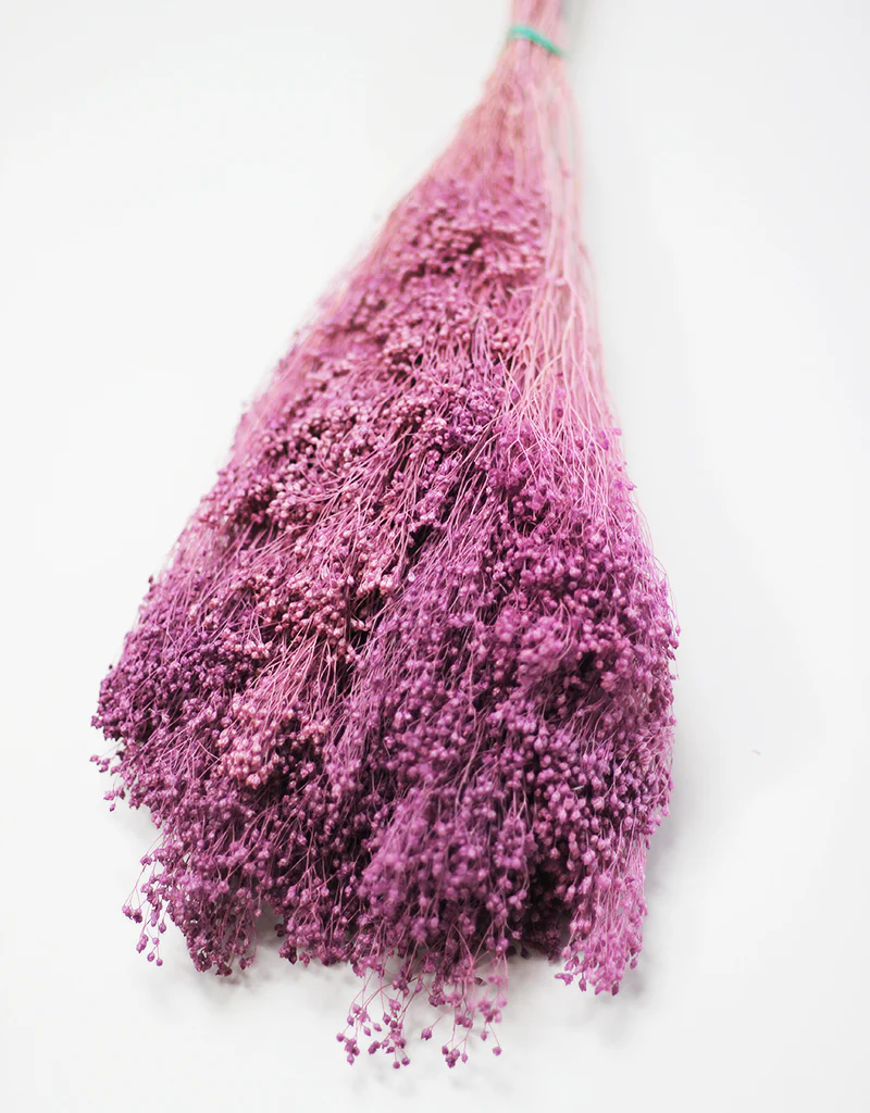 Dried Broom Bloom - Lilac Flowers bunch, 45cm