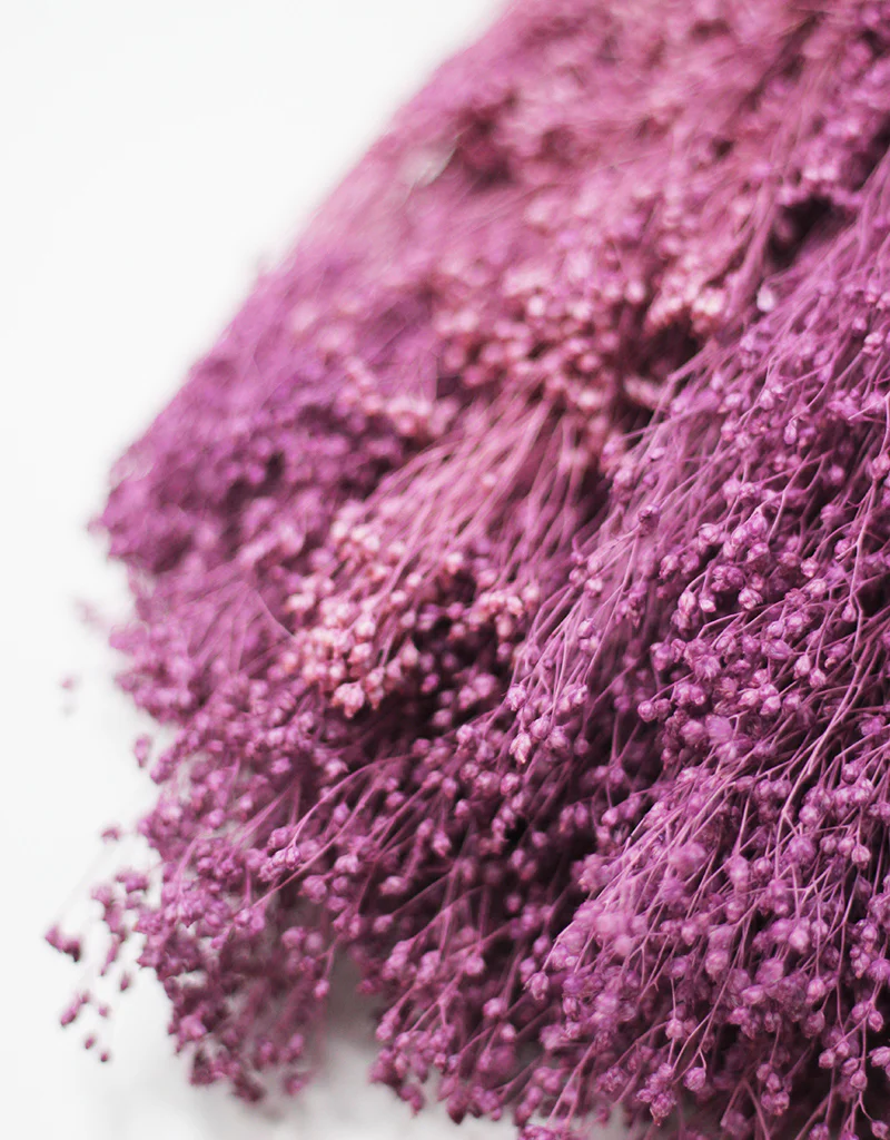 Dried Broom Bloom - Lilac Flowers bunch, 45cm - Image 2
