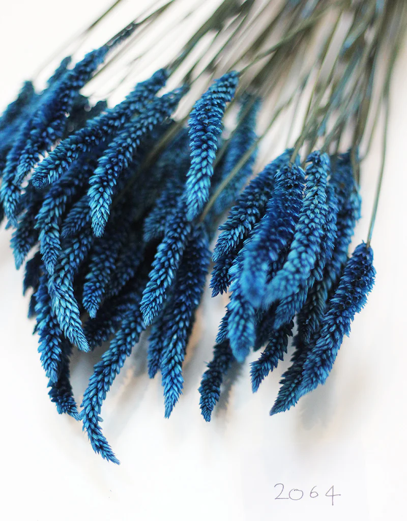 Dried Celosia bunch - Dark Blue Dry Flowers Bunch, 65cm - Image 4