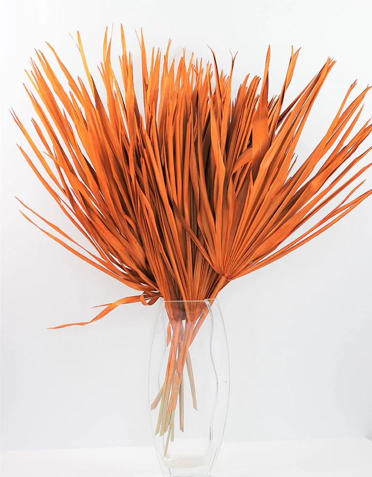 Dried Chamaerops Palm - Orange, 8 Stems, 65 cm - Image 3