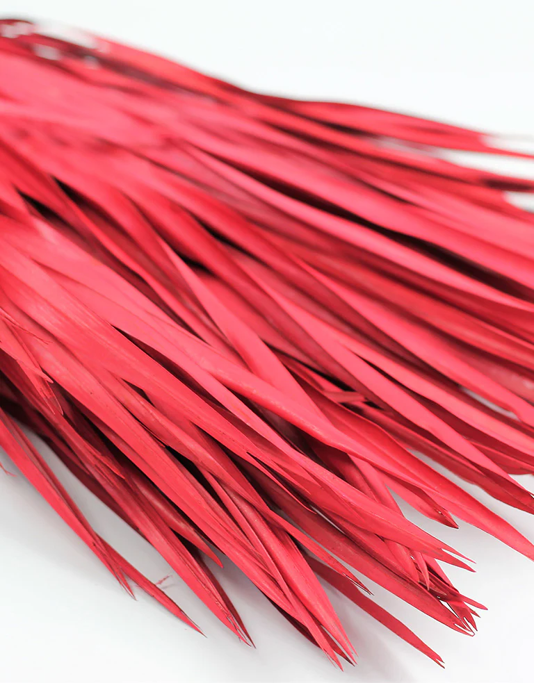 Dried Chamaerops Palm - Red Bunch, 8 Stems, 60 cm - Image 3