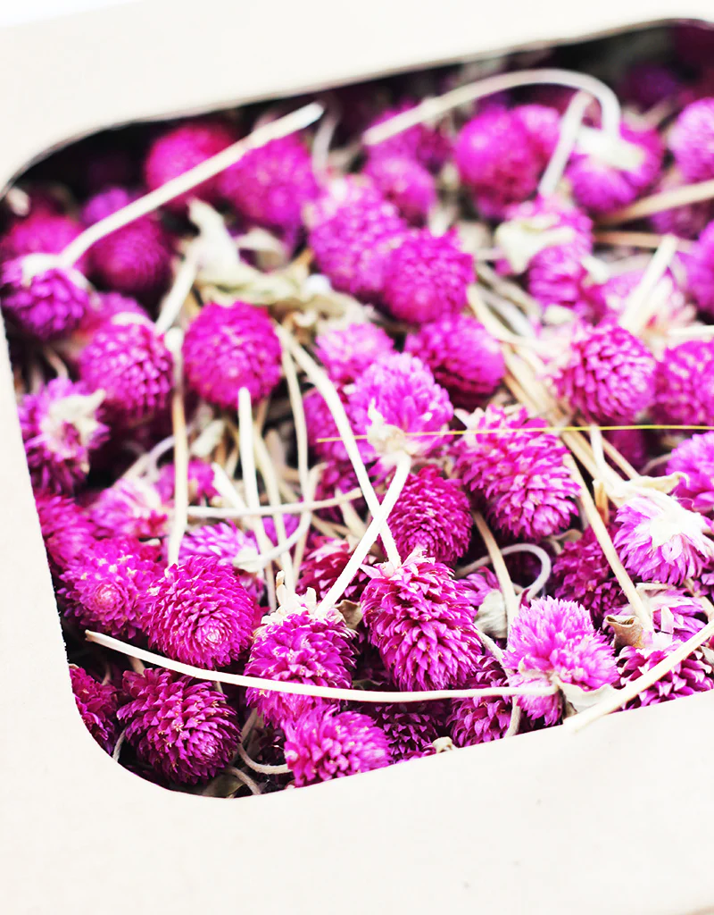 Dried Gomphrena Heads - Cerise Pink/ Lilac , 450 grams - Image 4