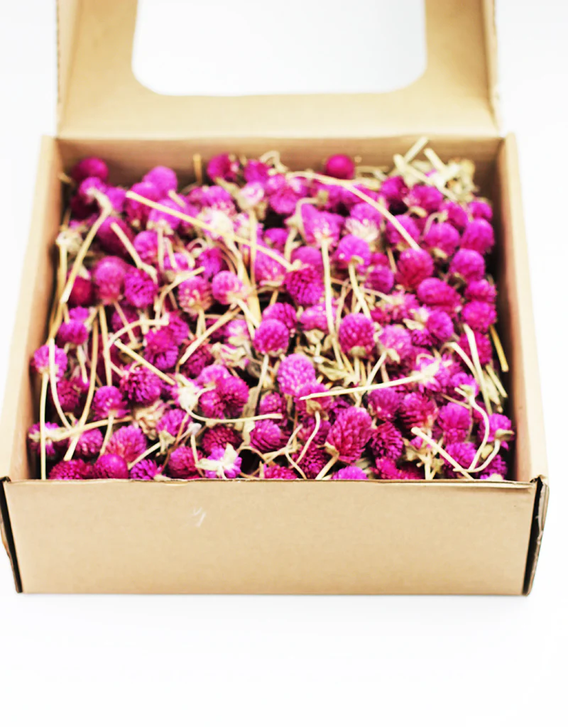 Dried Gomphrena Heads - Cerise Pink/ Lilac , 450 grams - Image 5