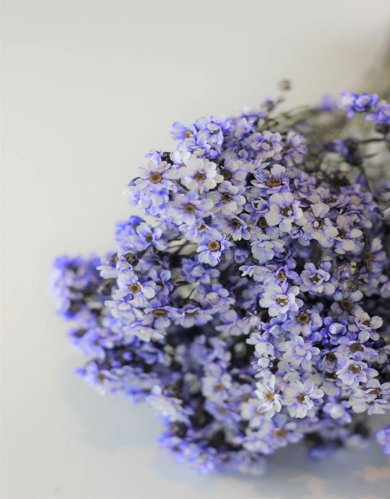 Dried Ixodia - Lilac Bunch, 50 cm - Image 2