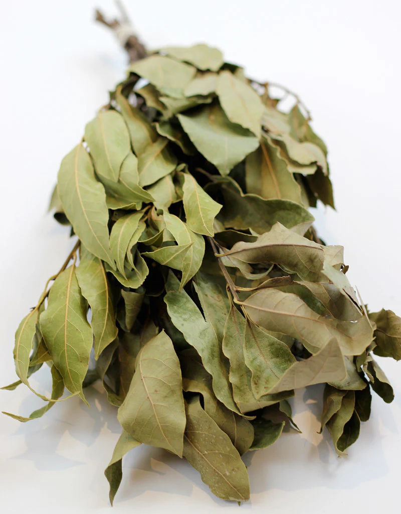 Dried Laurier Bay Leaf - Natural Bunch, 45 cm