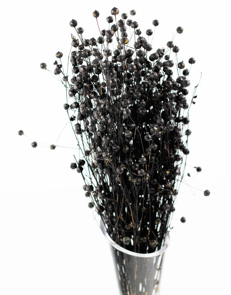 Dried Lino Vlas - Black Sleeved Bunch, 60 cm - Image 2