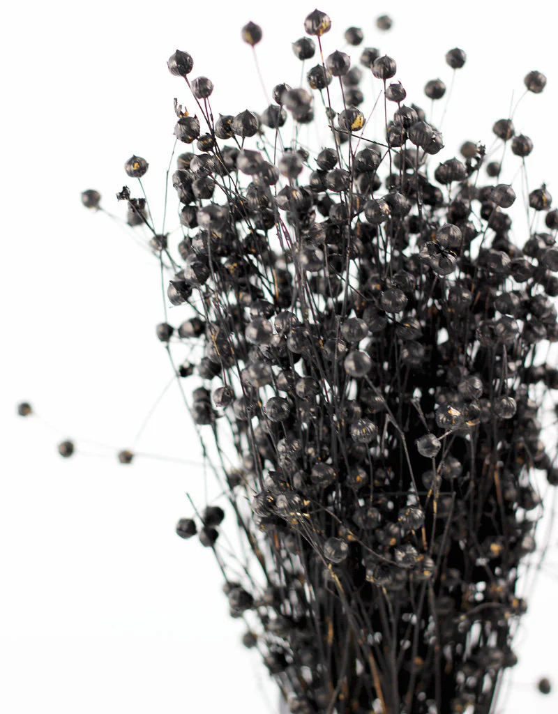 Dried Lino Vlas - Black Sleeved Bunch, 60 cm - Image 3