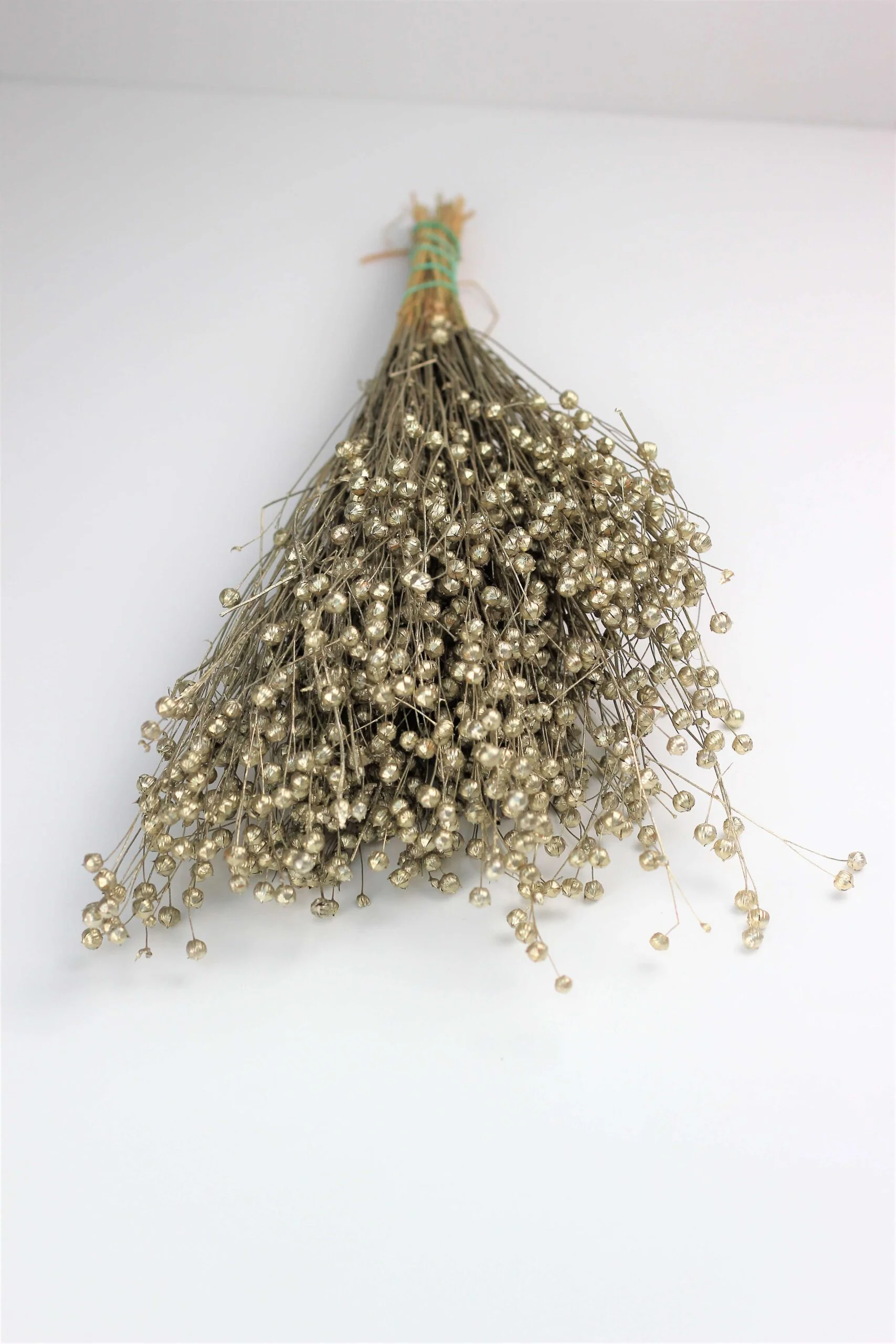 Dried Lino Vlas - Platinum Sleeved Bunch, 60 cm