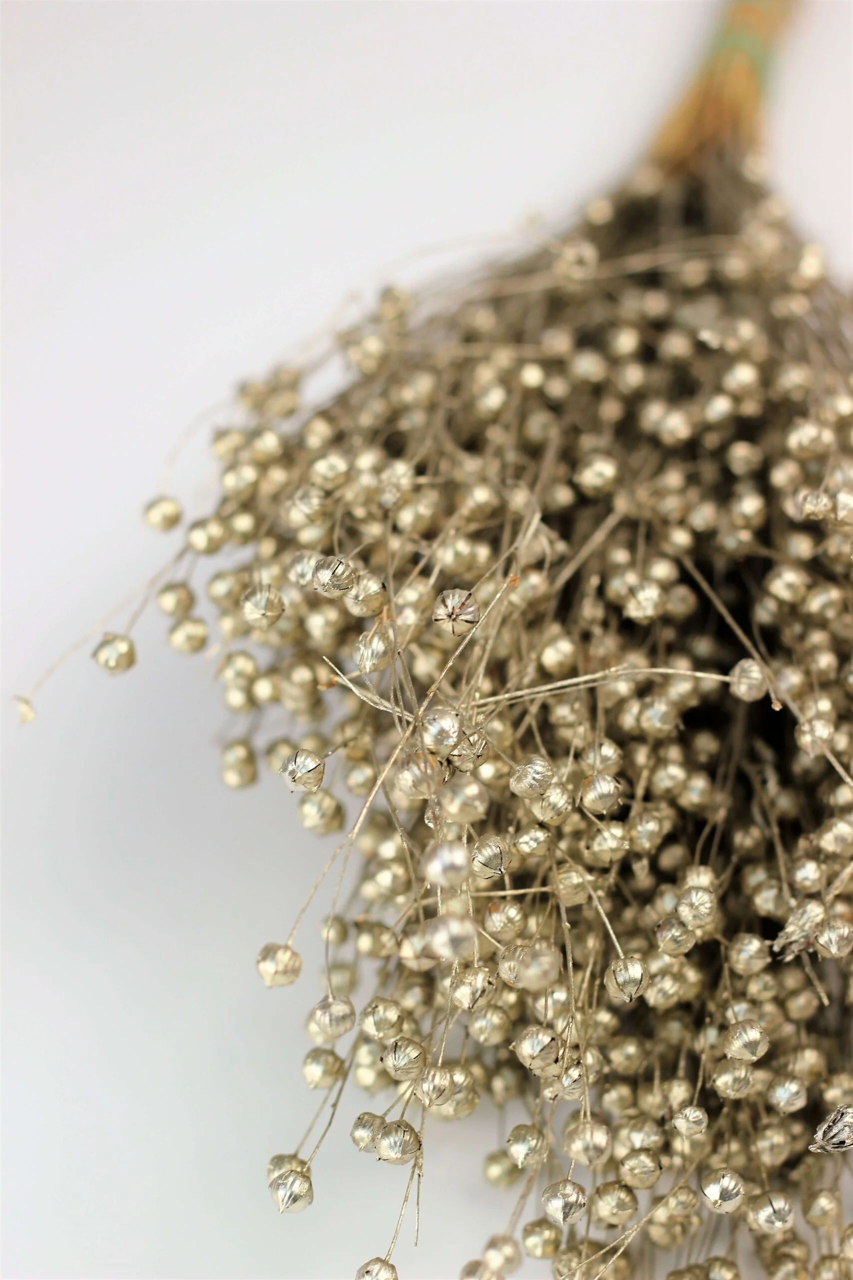 Dried Lino Vlas - Platinum Sleeved Bunch, 60 cm - Image 3
