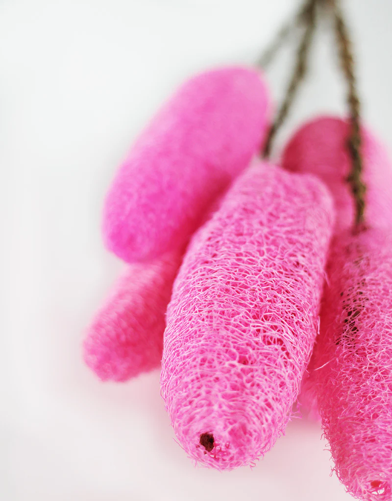 Dried Luffa (Loofah) - 5 stems, 60 cm length, Cerise Pink - Image 3