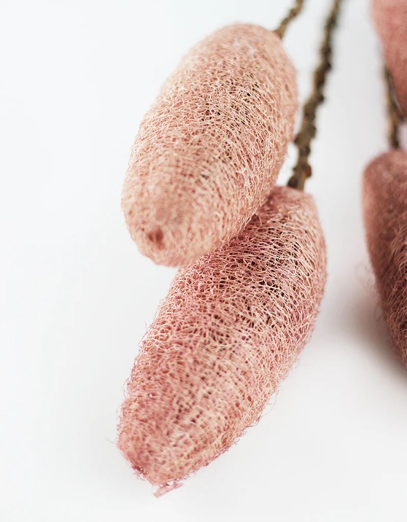 Dried Luffa (Loofah) - 5 stems, 60 cm length, Dusky Pink/ Natural - Image 2