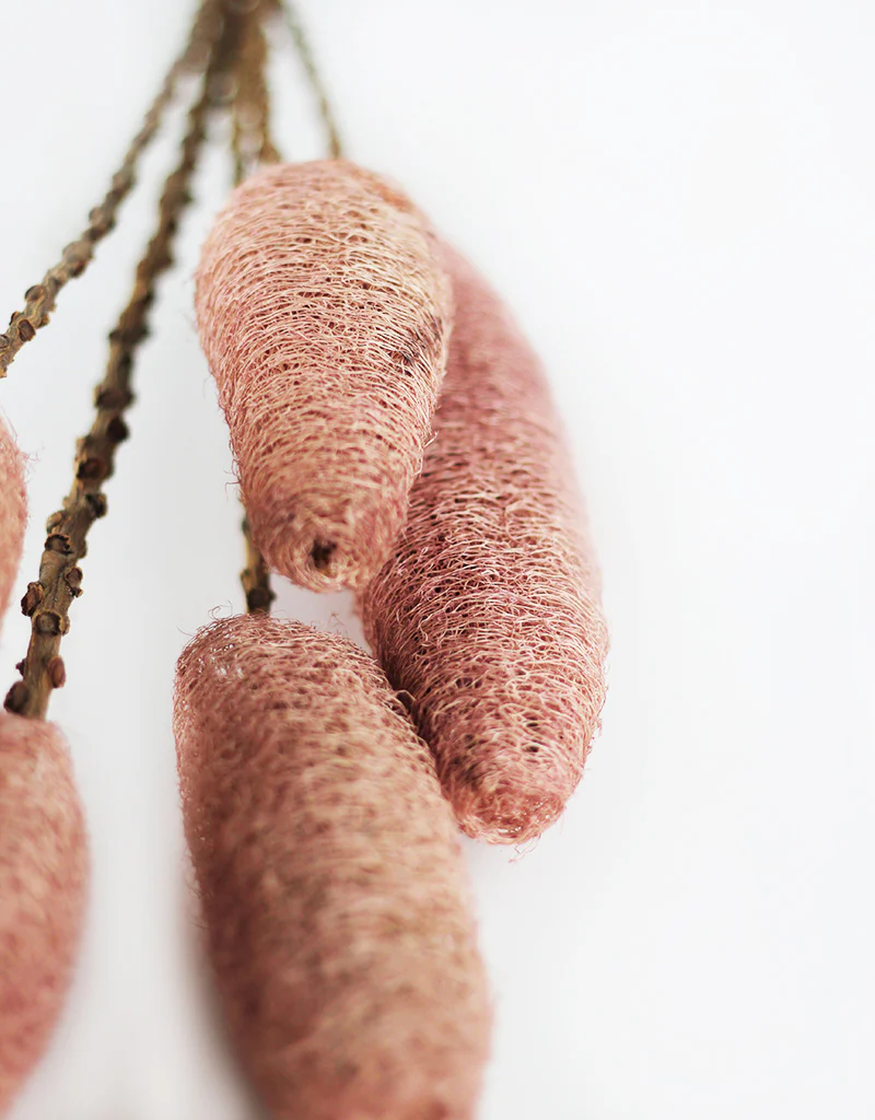 Dried Luffa (Loofah) - 5 stems, 60 cm length, Dusky Pink/ Natural - Image 3