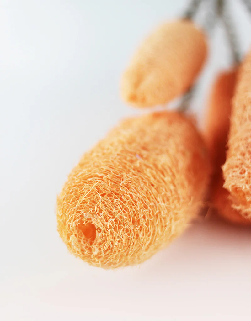 Dried Luffa (Loofah) - 5 stems, 60 cm length, Peach - Image 2