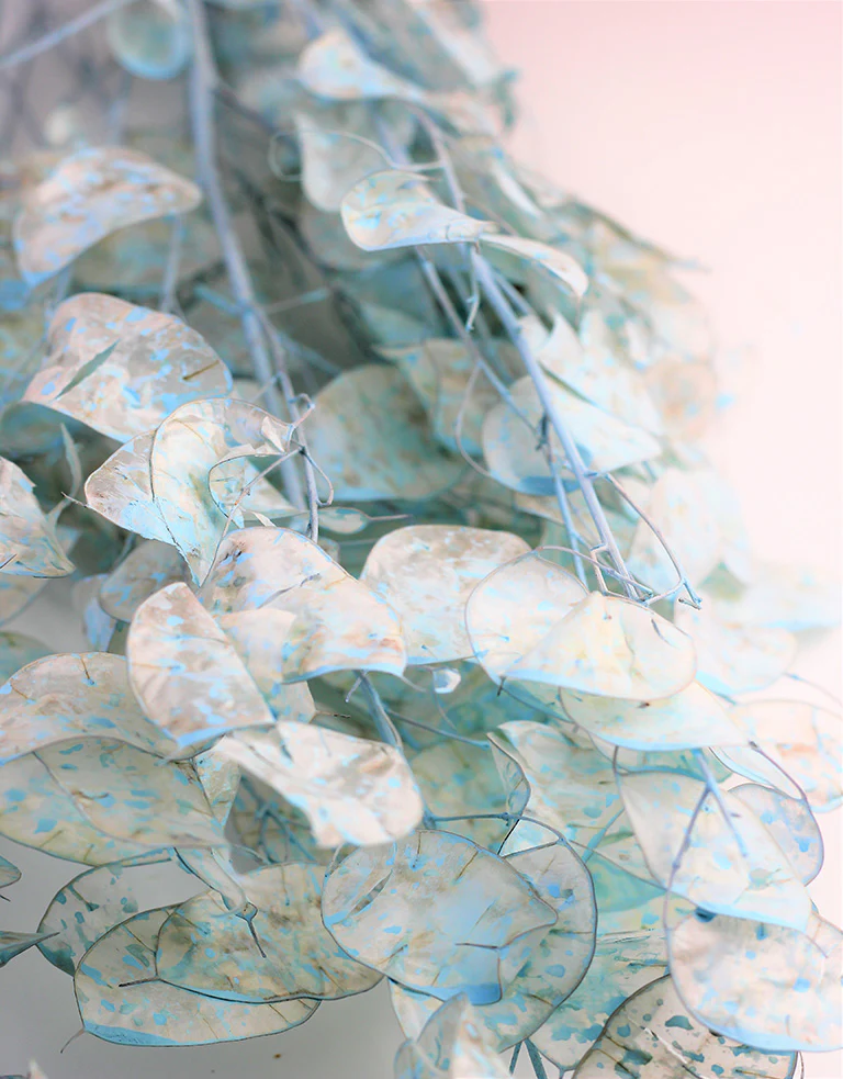 Dried Lunaria - Painted Blue Bunch, 70 cm - Image 3