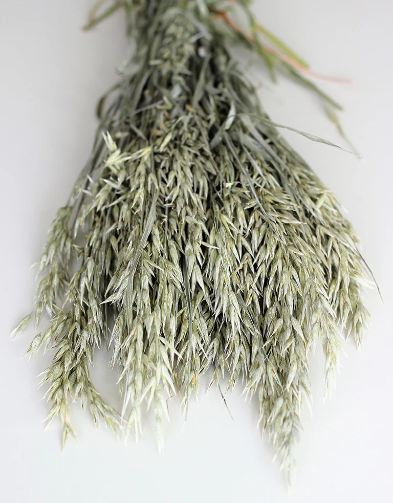 Dried Oat Avena- Frosted White Bunch, 100 grams, 70 cm