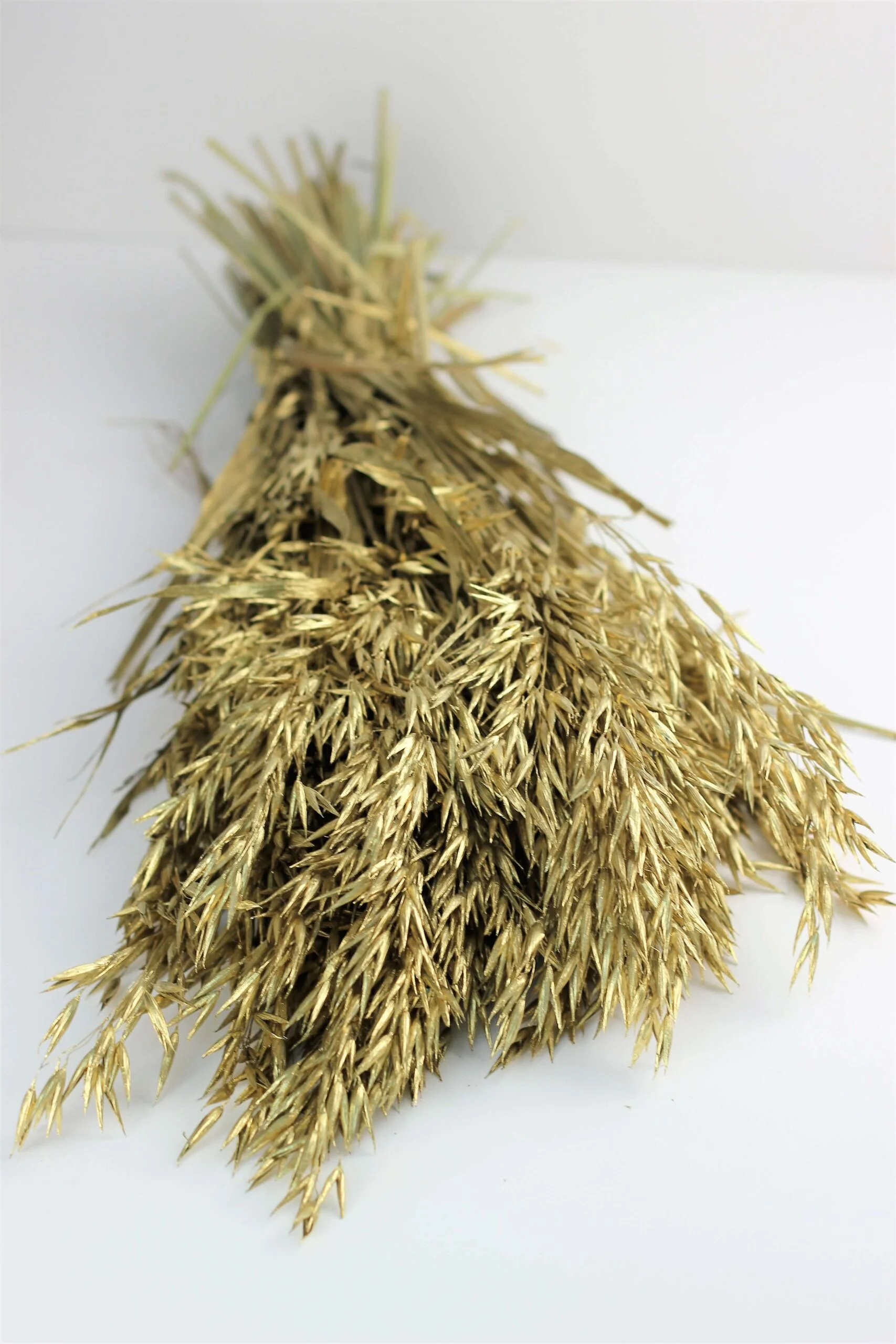 Dried Oat Avena- Gold Bunch, 100 grams, 70 cm