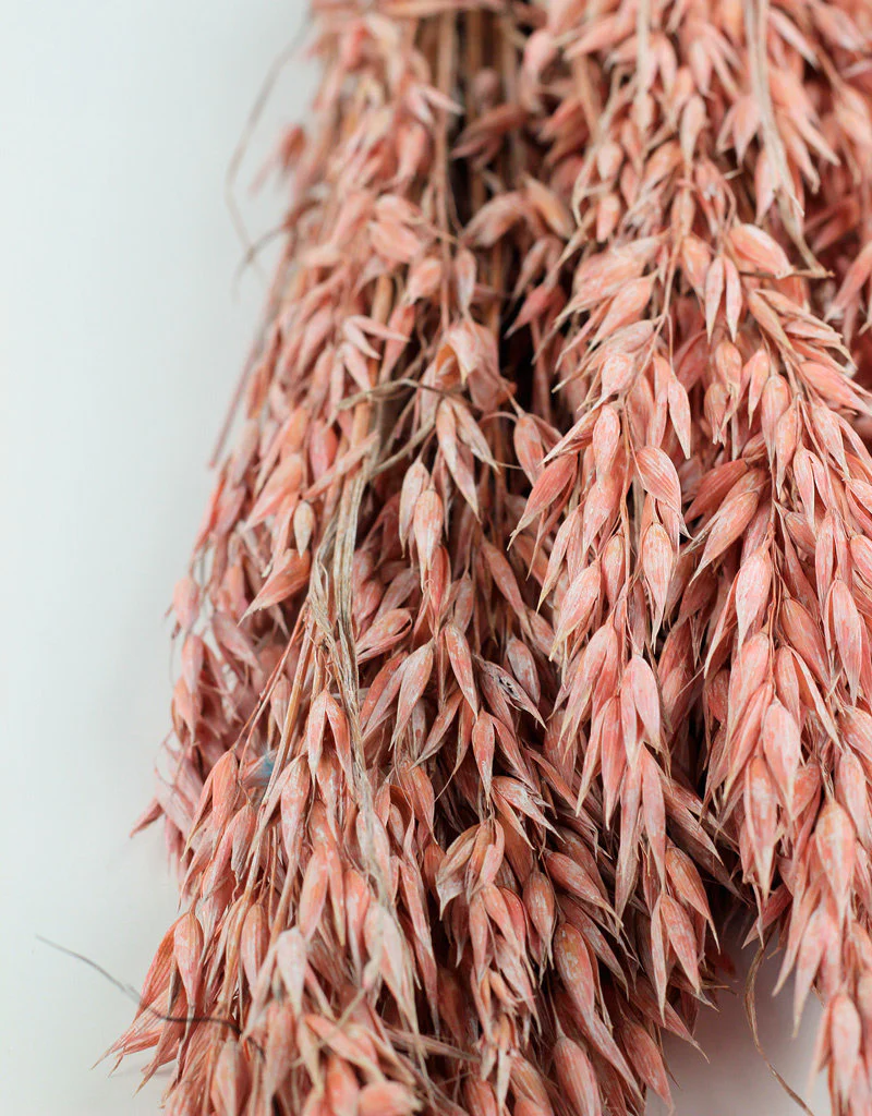 Dried Oat Avena- Salmon Pink, 100 grams, 60 cm - Image 3
