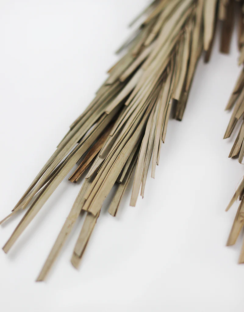 Dried Palm Leaf - Natural, 10 stems, 60 cm - Image 2