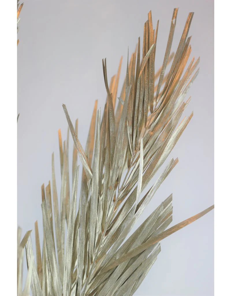 Dried Palm Leaf - Platinum Edition, 5 Stems, 100 cm - Image 2