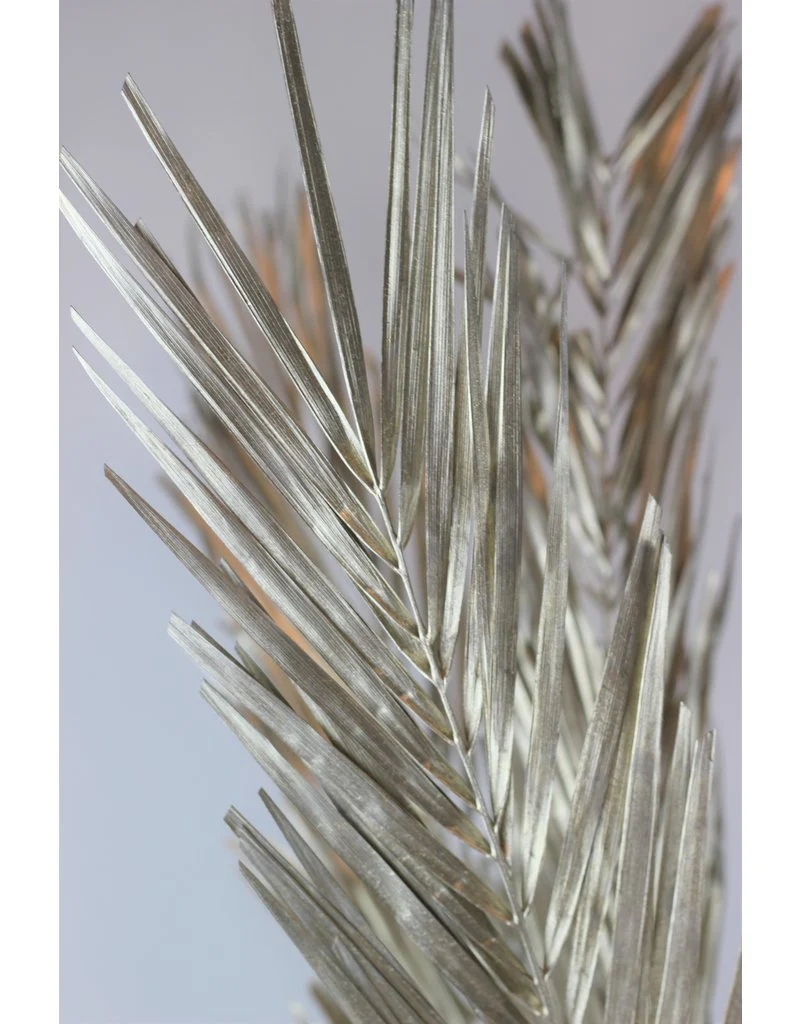 Dried Palm Leaf - Platinum Edition, 5 Stems, 100 cm - Image 3