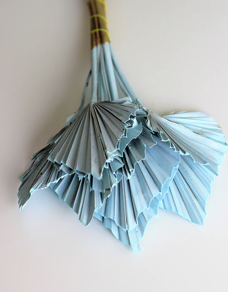 Dried Palm Spears - Baby Blue, 10 Stems, 50 cm