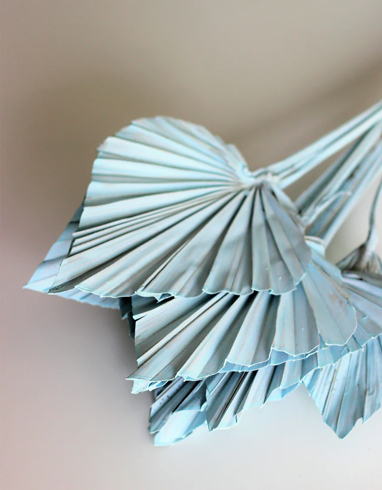 Dried Palm Spears - Baby Blue, 10 Stems, 50 cm - Image 3