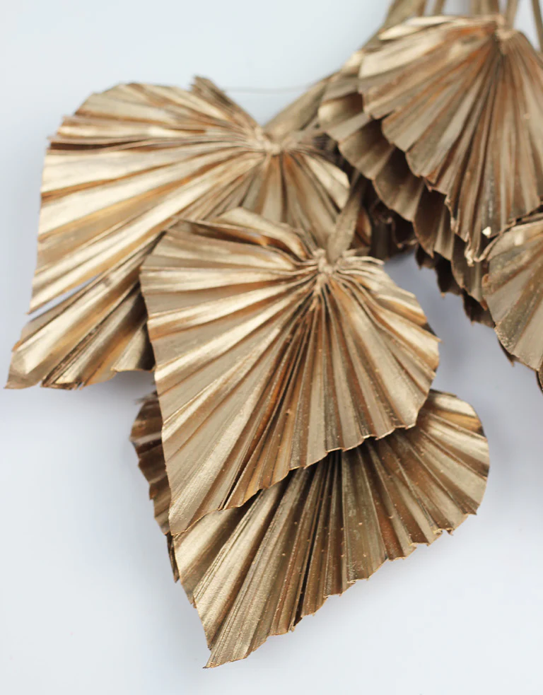 Dried Palm Spears - Gold, 55 cm, 10 stems - Image 2