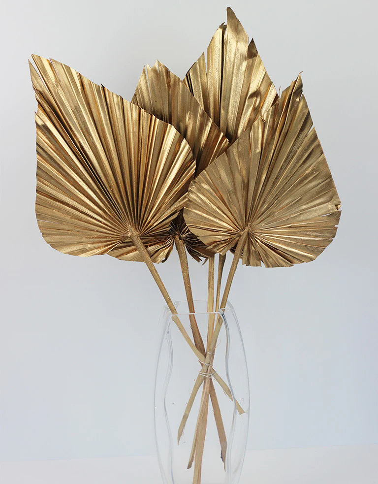 Dried Palm Spears - XL, Antique Gold, 70 cm, 5 stems, 25 cm width