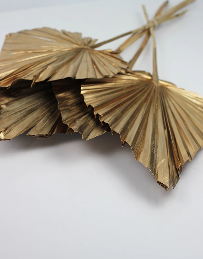 Dried Palm Spears - XL, Antique Gold, 70 cm, 5 stems, 25 cm width - Image 2