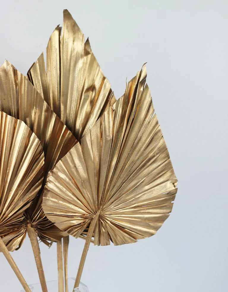 Dried Palm Spears - XL, Antique Gold, 70 cm, 5 stems, 25 cm width - Image 3