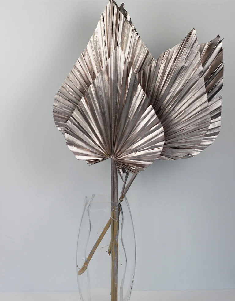 Dried Palm Spears - XL, Champagne, 70 cm, 5 stems, 25 cm width