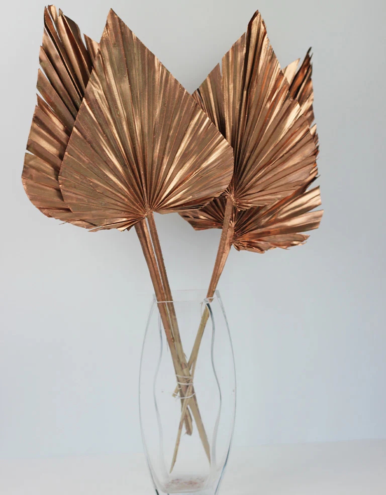Dried Palm Spears - XL, Copper, 70 cm, 5 stems, 25 cm width