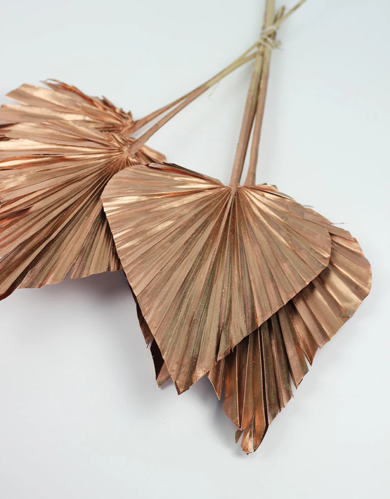 Dried Palm Spears - XL, Copper, 70 cm, 5 stems, 25 cm width - Image 2