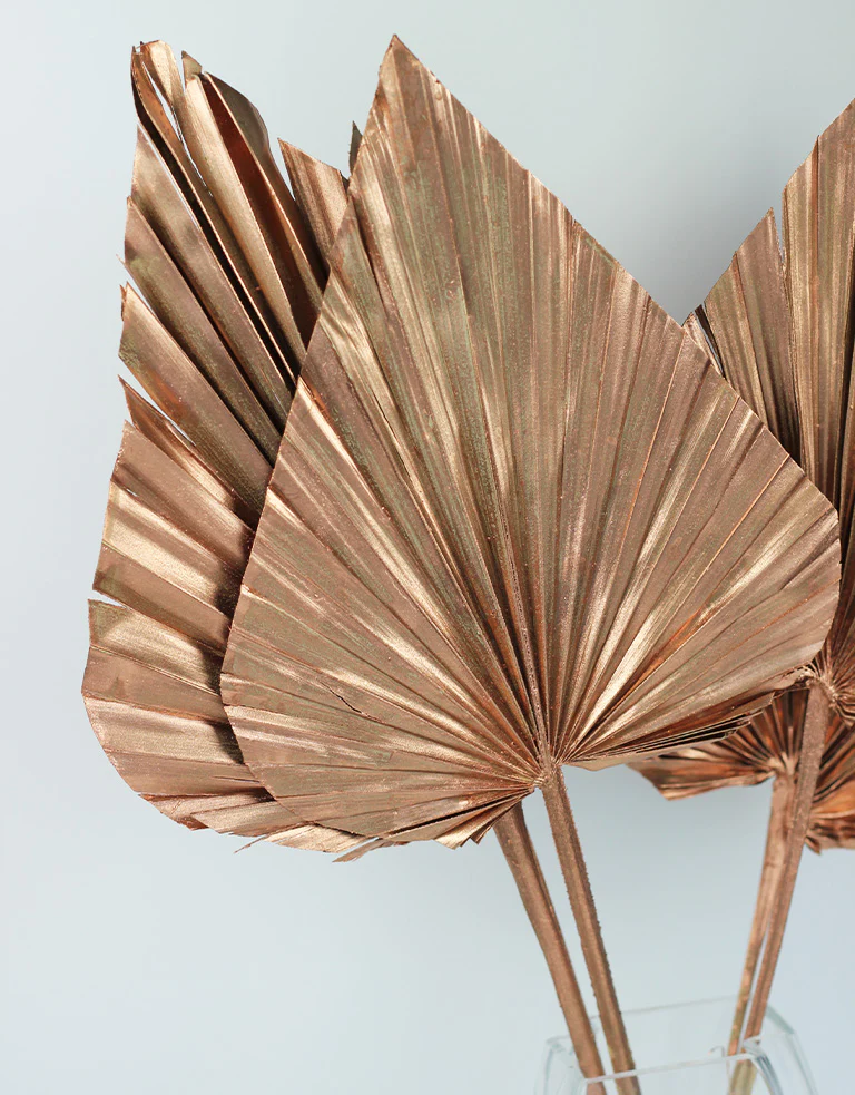 Dried Palm Spears - XL, Copper, 70 cm, 5 stems, 25 cm width - Image 3