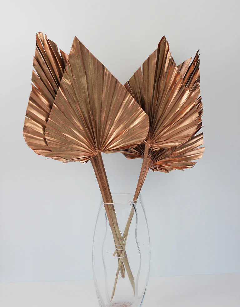 Dried Palm Spears - XL, Copper, 70 cm, 5 stems, 25 cm width - Image 5