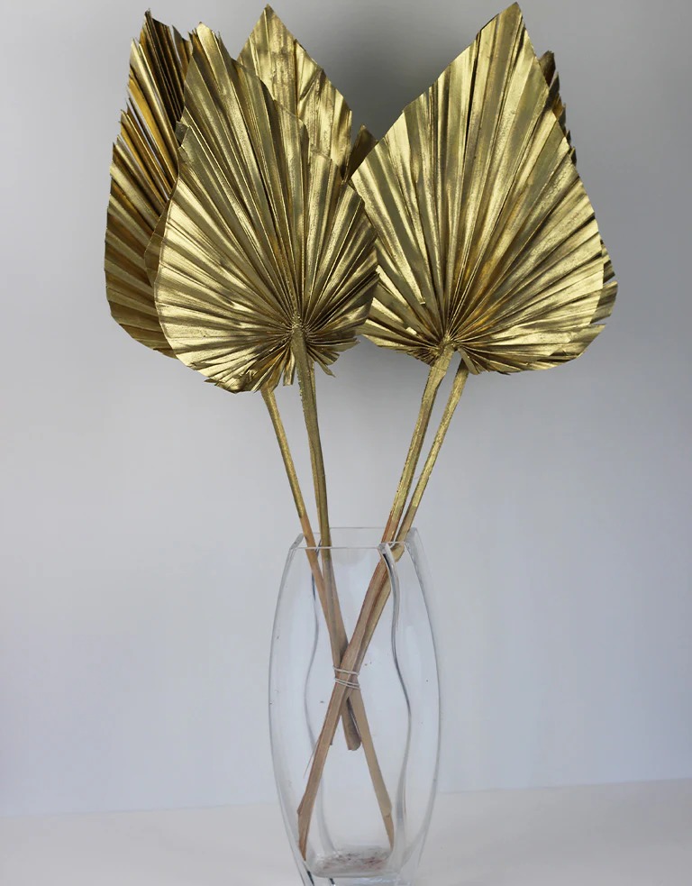 Dried Palm Spears - XL, Gold, 70 cm, 5 stems, 25 cm width