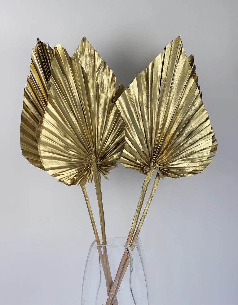 Dried Palm Spears - XL, Gold, 70 cm, 5 stems, 25 cm width - Image 4