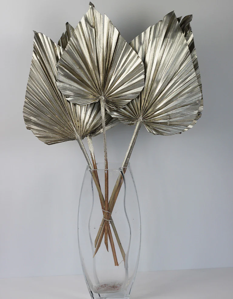 Dried Palm Spears - XL, Platinum, 70 cm, 5 stems, 25 cm width