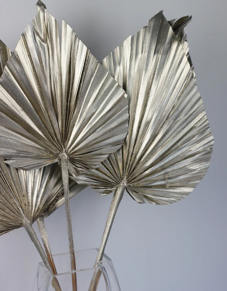Dried Palm Spears - XL, Platinum, 70 cm, 5 stems, 25 cm width - Image 2