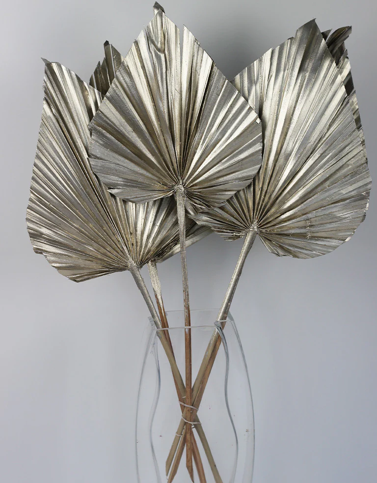 Dried Palm Spears - XL, Platinum, 70 cm, 5 stems, 25 cm width - Image 3