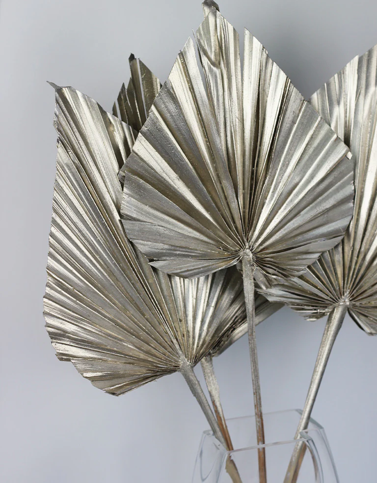 Dried Palm Spears - XL, Platinum, 70 cm, 5 stems, 25 cm width - Image 5