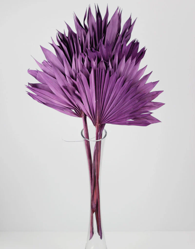 Dried Sun Palms - Lilac, 6 Stems, 60 cm